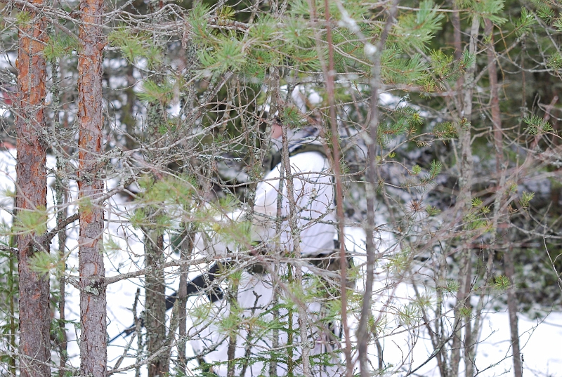 DSC_0532.JPG