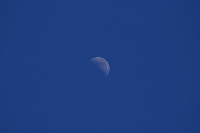 IMGP2459.jpg